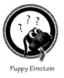 PUPPY EINSTEIN???