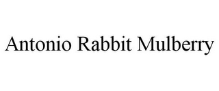 ANTONIO RABBIT MULBERRY