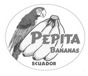 PEPITA BANANAS ECUADOR