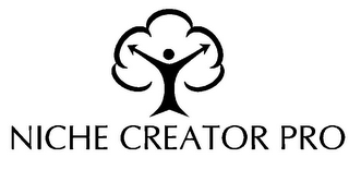 NICHE CREATOR PRO