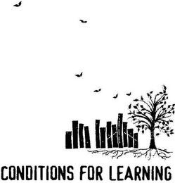 CONDITIONS FOR LEARNING