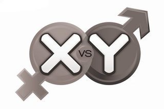 X VS. Y