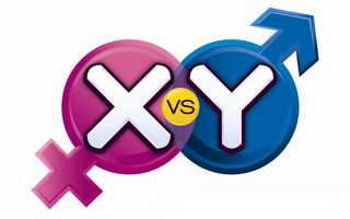 X VS. Y