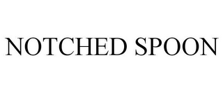 NOTCHED SPOON