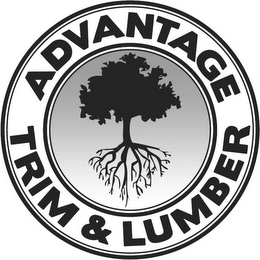 ADVANTAGE TRIM & LUMBER