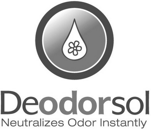 DEODORSOL NEUTRALIZES ODOR INSTANTLY