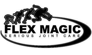 FLEX MAGIC SERIOUS JOINT CARE