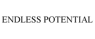ENDLESS POTENTIAL