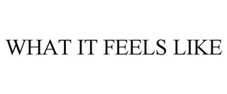 WHAT IT FEELS LIKE
