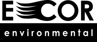 ECOR ENVIRONMENTAL