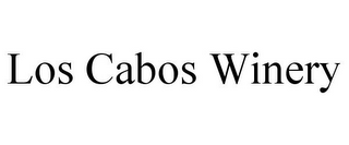 LOS CABOS WINERY