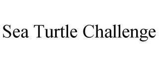 SEA TURTLE CHALLENGE