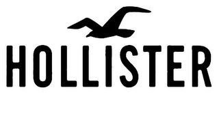 HOLLISTER