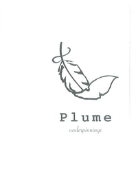 PLUME UNDERPINNINGS