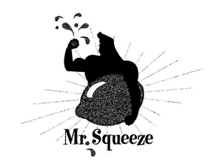 MR. SQUEEZE