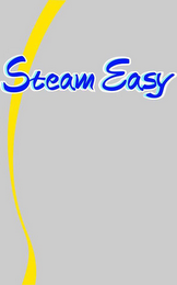 STEAM EASY