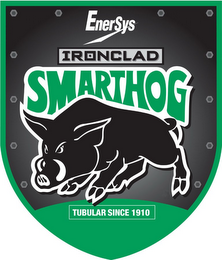 ENERSYS IRONCLAD SMARTHOG TUBULAR SINCE 1910