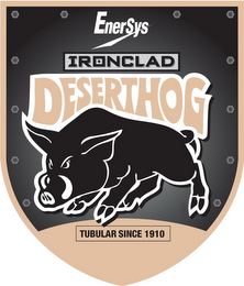 ENERSYS IRONCLAD DESERTHOG TUBULAR SINCE 1910