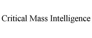 CRITICAL MASS INTELLIGENCE