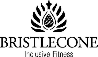BRISTLECONE INCLUSIVE FITNESS