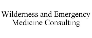 WILDERNESS AND EMERGENCY MEDICINE CONSULTING