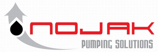 NOJAK PUMPING SOLUTIONS