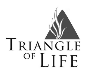 TRIANGLE OF LIFE