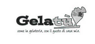 GELATU, COME IN GELATERIA, CON IL GUSTO DI CASA MIA