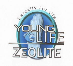 DETOXIFY FOR LIFE YOUNG LIFE ZEOLITE