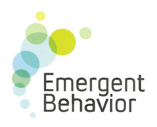 EMERGENT BEHAVIOR