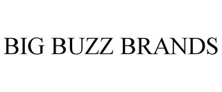 BIG BUZZ BRANDS