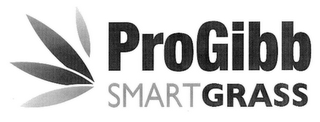 PROGIBB SMARTGRASS