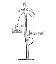 PALM BEACH DELIVERIES