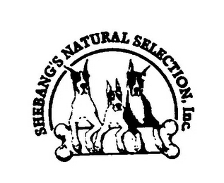 SHEBANG'S NATURAL SELECTION, INC.