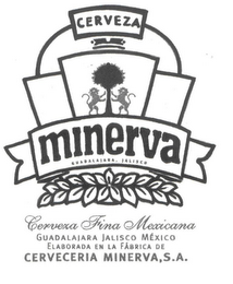 CERVEZA MINERVA GUADALAJARA, JALISCO CORVEXA FINA MEXICANA GUADALAJARA MÈXICO ELABORADA EN LA FÁBRICA DE CERVECERIA MINERVA, S.A.