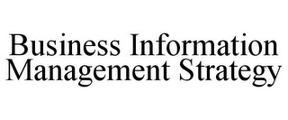 BUSINESS INFORMATION MANAGEMENT STRATEGY