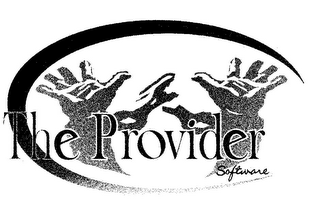 THE PROVIDER SOFTWARE