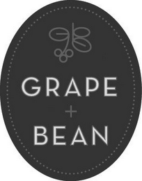 GB GRAPE + BEAN