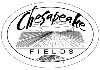 CHESAPEAKE FIELDS