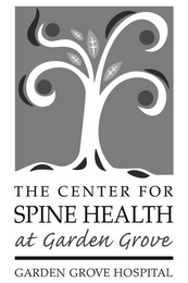 THE CENTER FOR SPINE HEALTH AT GARDEN GROVE GARDEN GROVE HOSPITAL