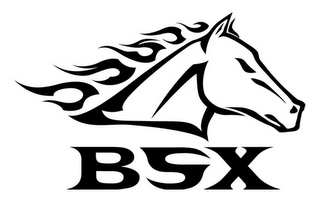 BSX