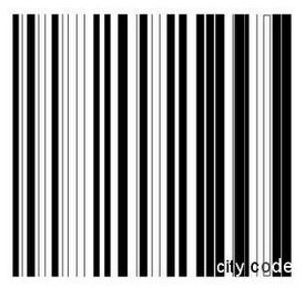 CITY CODE