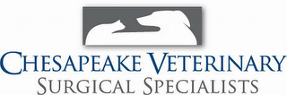 CHESAPEAKE VETERINARY SURGICAL SPECIALISTS