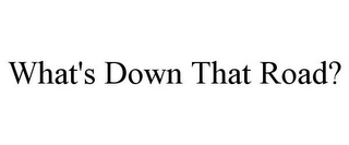 WHAT'S DOWN THAT ROAD?