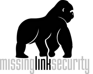 MISSINGLINKSECURITY