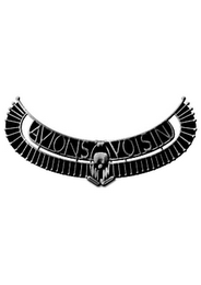 AVIONS VOISIN