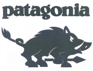 PATAGONIA