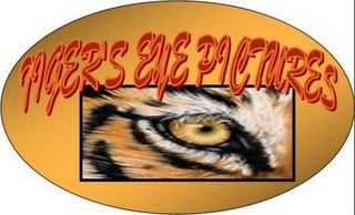 TIGER'S EYE PICTURES