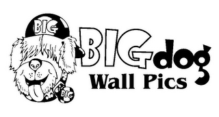 BIGDOG WALL PICS BIG BIG