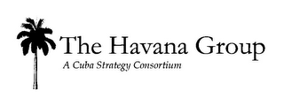 THE HAVANA GROUP A CUBA STRATEGY CONSORTIUM